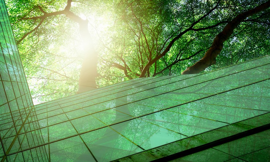 Building workforce resilience: Adapting to a green economy